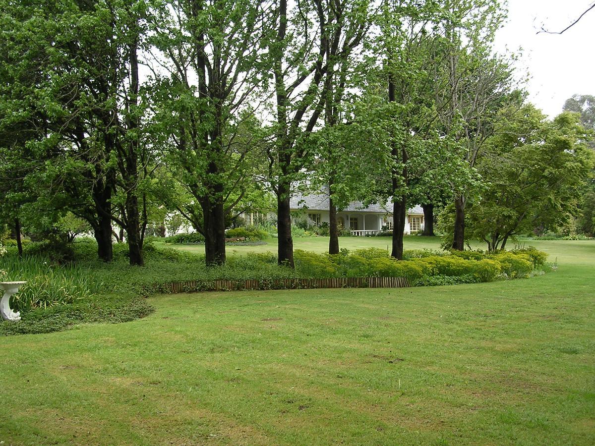 Cedar Garden Bed and Breakfast Underberg Buitenkant foto